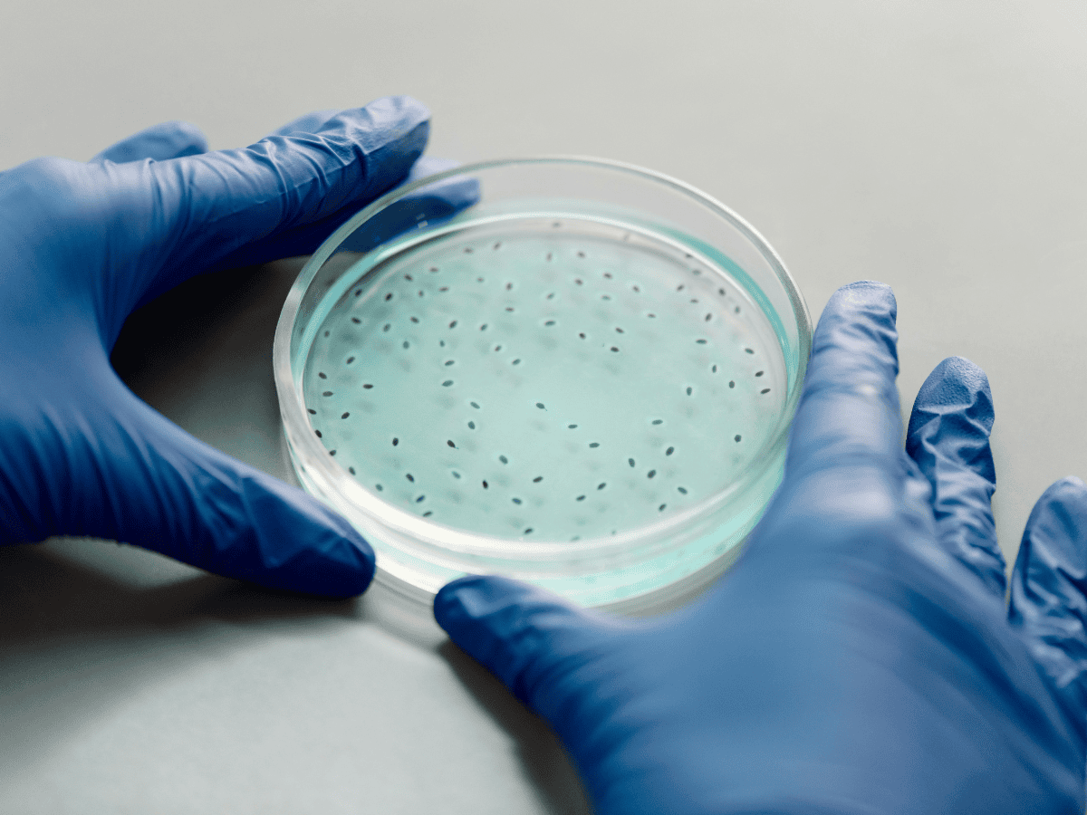Don’t Let Legionella Become a Problem in Your Water System
